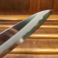 Hitohira Tanaka Kyuzo 210mm Gyuto Stainless Clad Aogami 1 Ziricote Handle