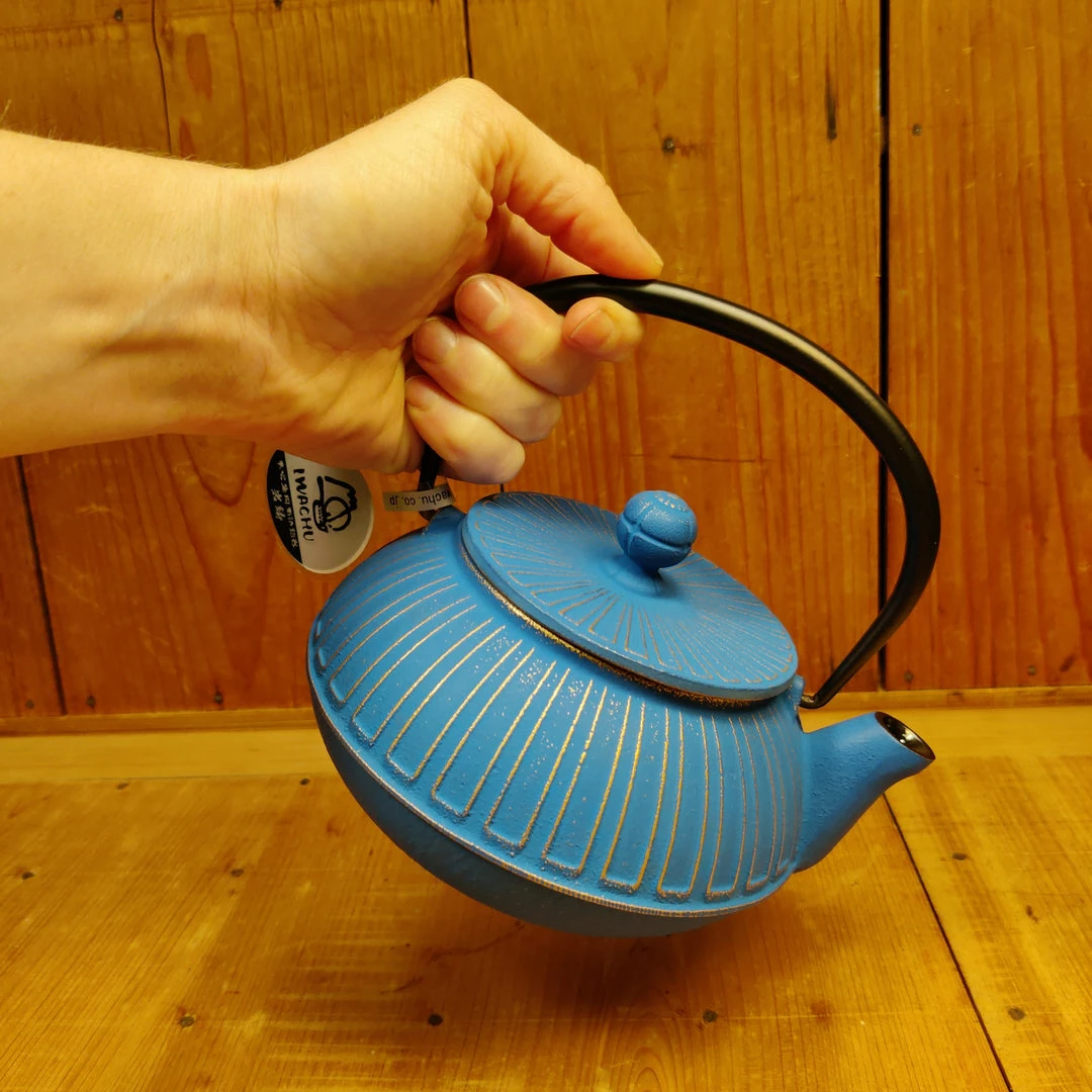 Miya Cast Iron Teapot - Blue + Gold 22oz