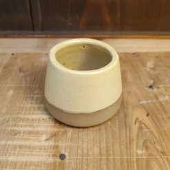 Millet & Hammer Matchstick / Toothpick / Succulent Holder