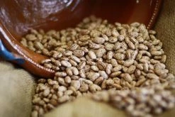 Pantry Rancho Gordo Pinto Bean - 1lb