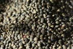 Rancho Gordo - French Style Green Lentils - 1lb