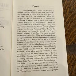 Ingram Accessories Making Pigeons Pay - Wendell Mitchell Levi