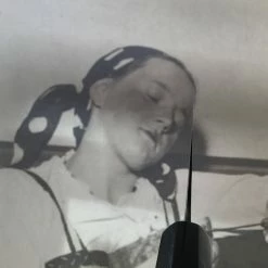 Sakai Kikumori 165mm Santoku - Aogami 2 - Nashiji