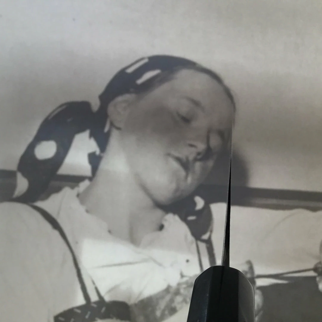 Sakai Kikumori 165mm Santoku - Aogami 2 - Nashiji