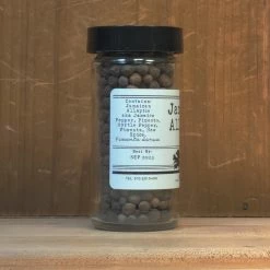 Oaktown Spice Shop Whole Jamaican Allspice - 1/2 Cup Jar Pantry
