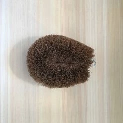 KANDA CO., LTD Kitchen Tools Kamenoko Tawashi Brush #1 Small