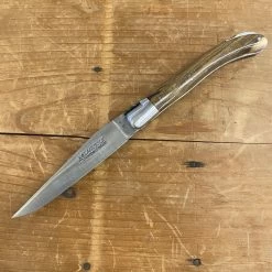 Fontenille Pataud 'Laguiole Le Pocket' 10cm Pistachio Lockback