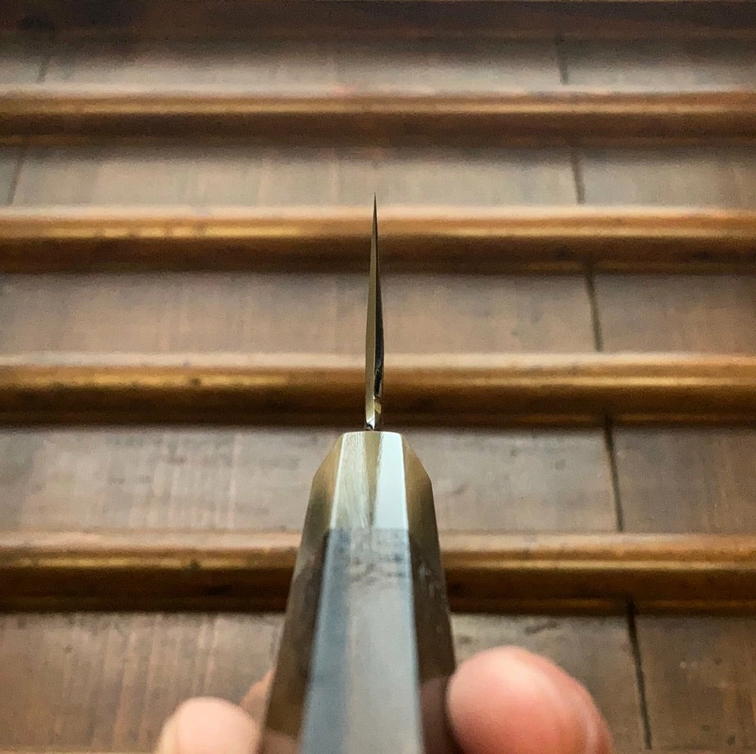 Hitohira Togashi 210mm Kiritsuke Gyuto Stainless Clad Shirogami 1 Ziricote Handle