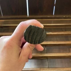 Nakajo Kaji-bei 165mm Nakiri Iron Clad Aogami 2 Suminagashi Kurouchi Buffalo Horn Ring