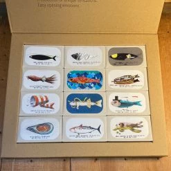 Jose Gourmet Box Set Of 12 Tinned Fish