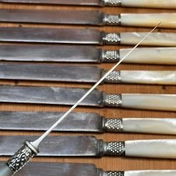 Vintage Table | Steak Landers Frary & Clark Set Of 12 Luncheon Knives Silverplate Carbon MOP In Box