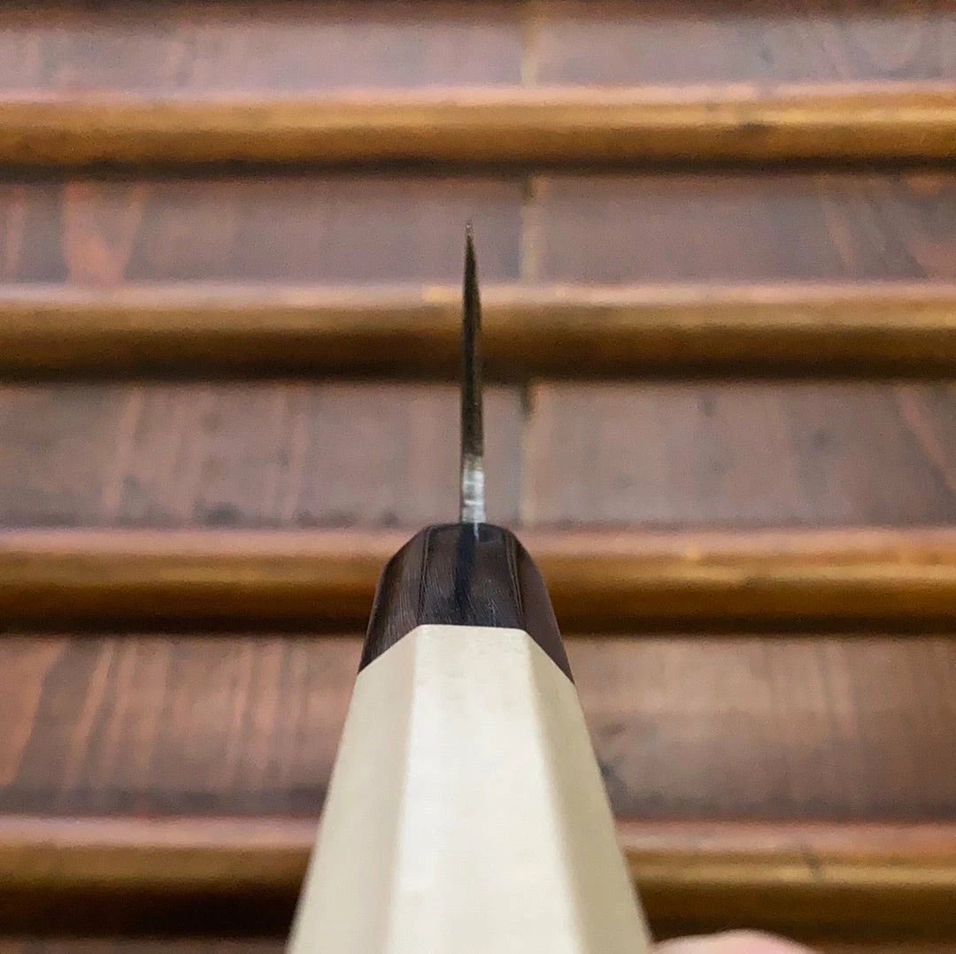 Tosa Tadayoshi / Bernal Cutlery 160mm Gyuto Aogami 1 Stainless Clad Walnut/PC