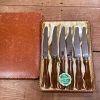 Bernal Cutlery Eichenlaub Tableware Eichenlaub Fruit / Dessert Knife Set Stainless & Butterscotch Solingen Germany~1950's 60's In Box W Tag