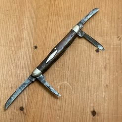 Bernal Cutlery W R Case & Sons Bradford Pa 3 1/8” Congress Greenbone 6470 1905-14 The Vault