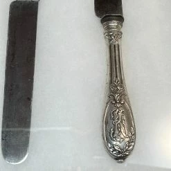 Vintage Antique French Table Knives Paris Silver Handles In Shadow Box 19th C