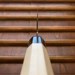 Tosa Tadayoshi / Bernal Cutlery 250mm Gyuto Aogami 1 Stainless Clad Oct Ho/Horn