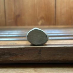 Hitohira Gorobei LEFTY 270mm Yanagi Aogami 2 Ho Wood