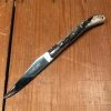Fontenille Pataud 'Laguiole Le Pocket' 10cm Dark Ram Horn Lockback