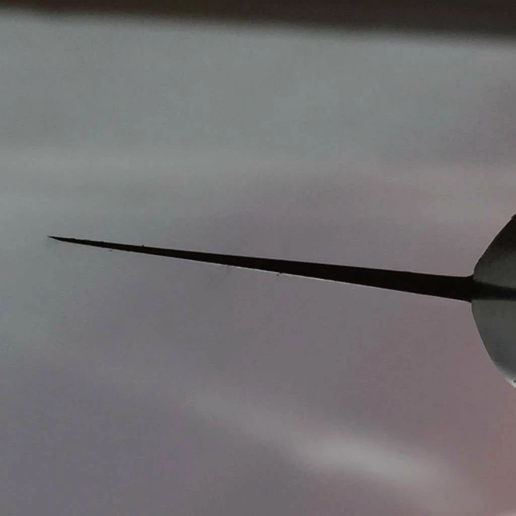 Sakai Kikumori Nihonkou 210mm Gyuto Carbon Steel