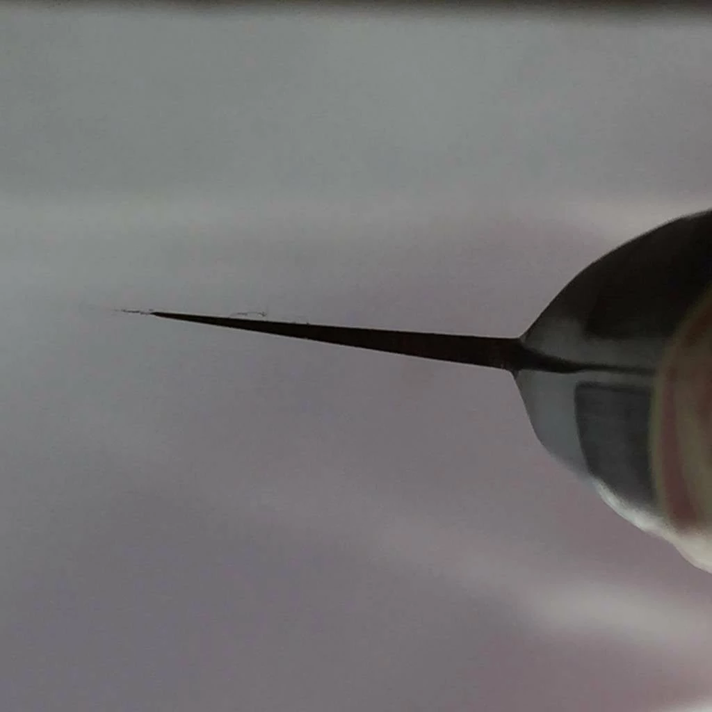 Sakai Kikumori Nihonkou 150mm Petty Carbon Steel