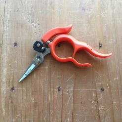 Nakajo Saboten Harvest Shear Stainless